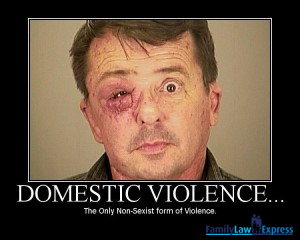 dv-non-sexist-violence