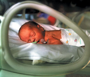 premature-infant