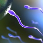 sperm-image