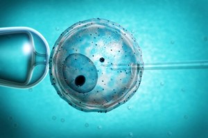 ivf-surrogate-baby-privacy