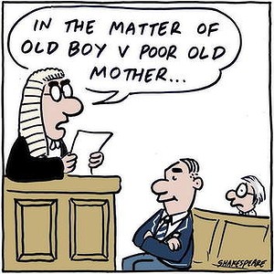 Judge slams old boy who sued mother over estate 