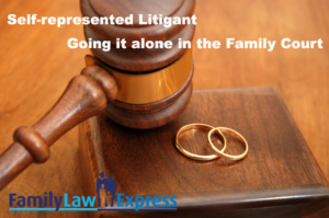 self-represented-litigant-alone-in-family-court