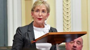 LNP politician Ros Bates believes those complaining about fake domestic violence orders are just angry, jilted men.