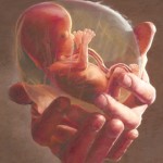 unborn-child & abortion laws