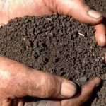 farming-soil