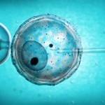 ivf-surrogate-baby-privacy