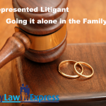 self-represented-litigant-alone-in-family-court