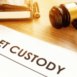 divorce-and-pet-custody
